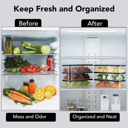 FreshTray Fridge Organiser Box with Drain Basket & Lid – BPA Free, Stackable, Freezer Safe Vegetable Storage Container.